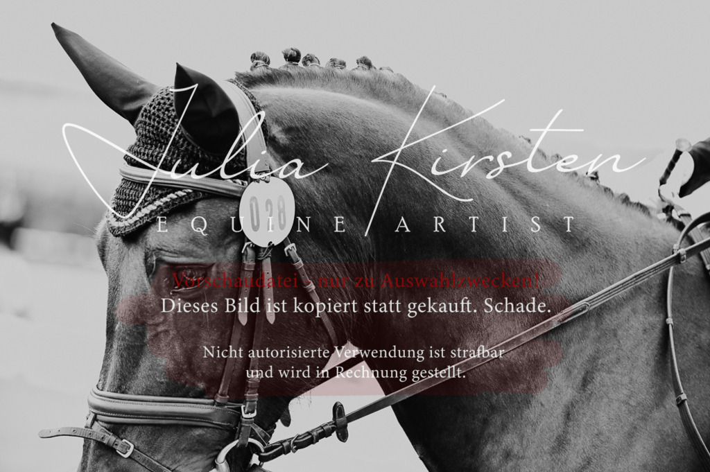 DSC_4887 | Pferde- und Turnierfotografie in Westsachsen. Pferdeportraits, Auftragszeichnungen und intuitive Kunst.