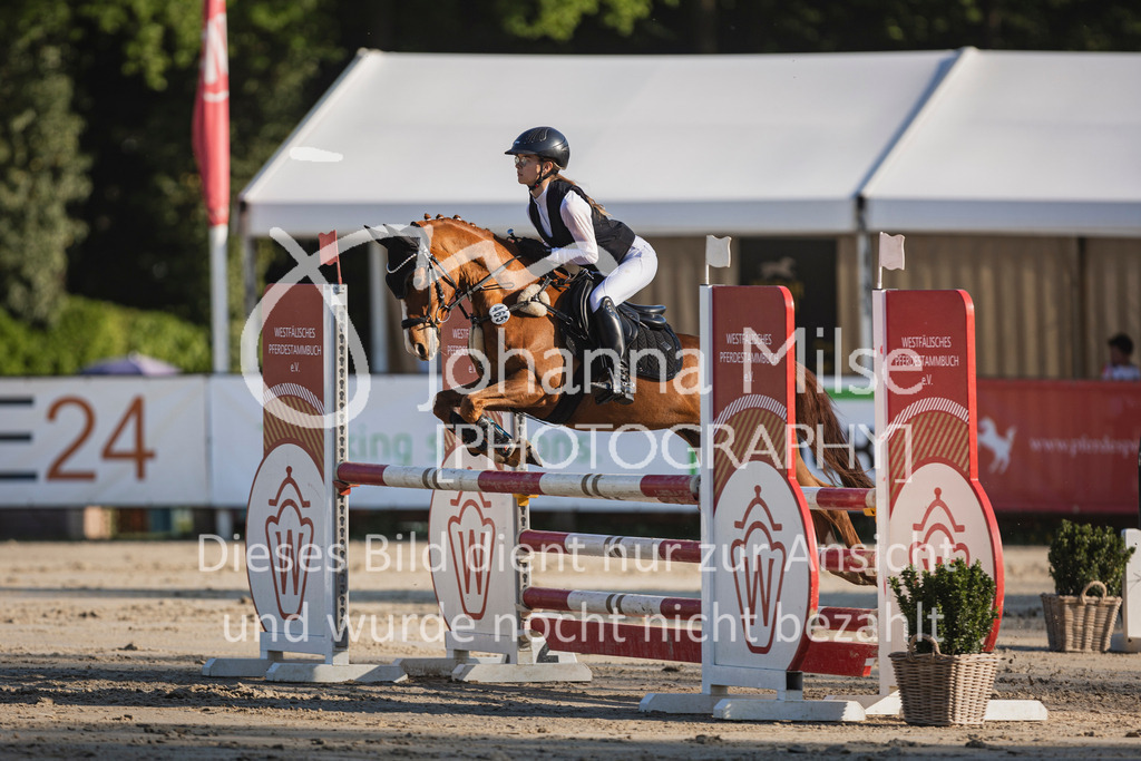 250501_MünsterHandorf_PonyTrophy-289 | Deine schönsten Turniermomente als professionelle Fotos! Entdecke hochwertige Pferdesport-Fotografie im Online-Shop. Jetzt Fotos finden & bestellen!