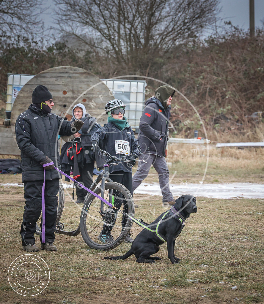 Pfotenfotografie_0L8A2204 | Hundefotografie, Tierfotograf, Pfotenfotografie, Fotoshooting Hund, Hunde Portrait, Hundesport, Hundeportraits, Heideshooting, Hunde, Sportfotograf, Hundefotograf, Turnierhundsport, THS,  - Realisiert mit Pictrs.com