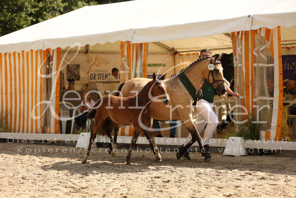 08.DoRPS00097 | Leoni Ertmer Photography - Realisiert mit Pictrs.com