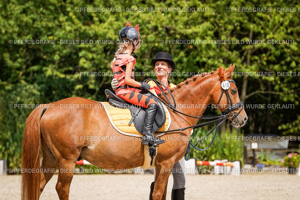 DSC02964 | Pferdegrafie