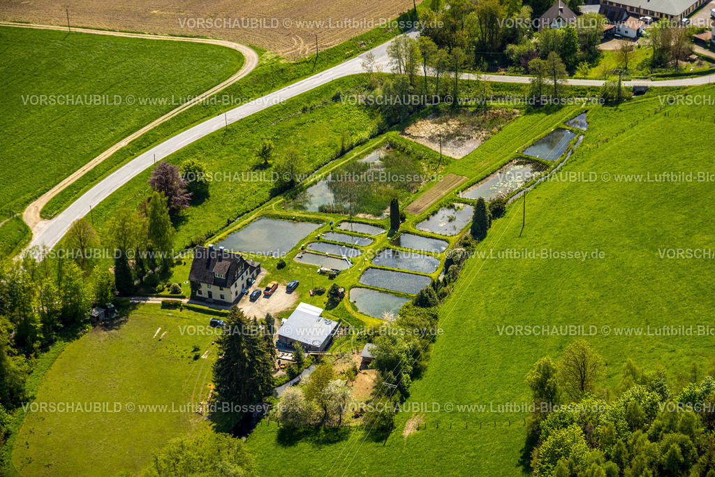 Sundern230505037 | Luftbild, Alfred Löhr Fischteiche, Allendorf, Sundern, Sauerland, Nordrhein-Westfalen, Deutschland