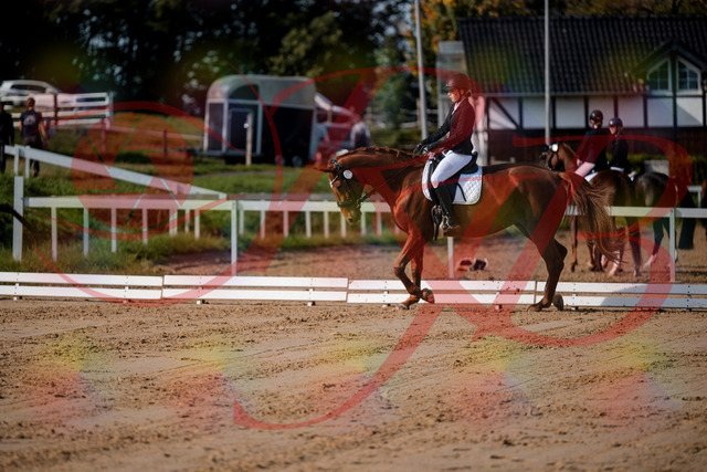 2026_10_03_Siefer-Hof_114212_Z63_23614617 | Professionelle Reitsport-, Turnier- und Eventfotografie von Robert Broda. Galerien mit ausgewählten und bearbeiteten Bildern direkt online ansehen und bestellen.