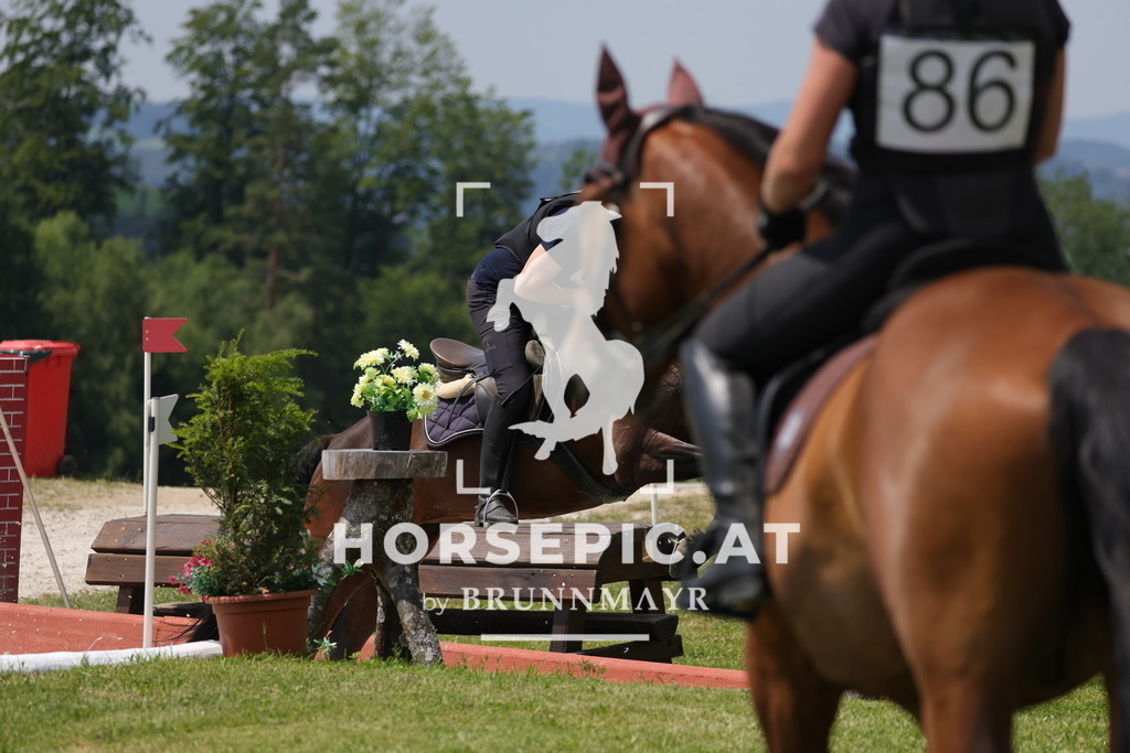 0P6A8572 | Willkommen bei Brunnmayr - Design & Fotografie – Ihrem Spezialisten für Reitturniere und Pferdeveranstaltungen in Oberösterreich, Salzburg und Bayern! Seit über 17 Jahren sind wir leidenschaftlich dabei.