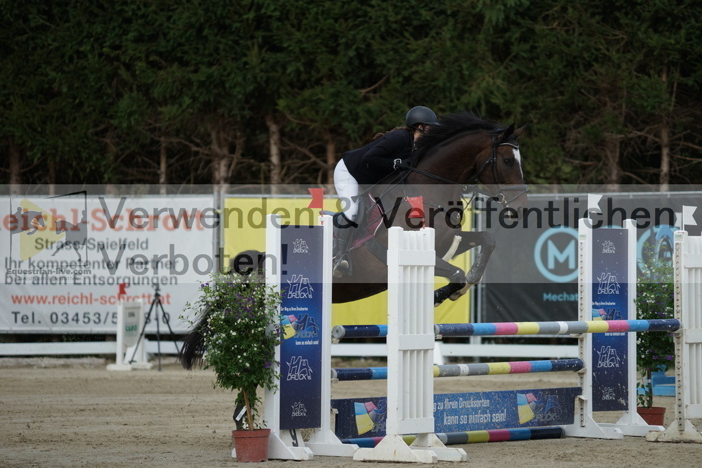 DSC01611 | equestrian-live-com