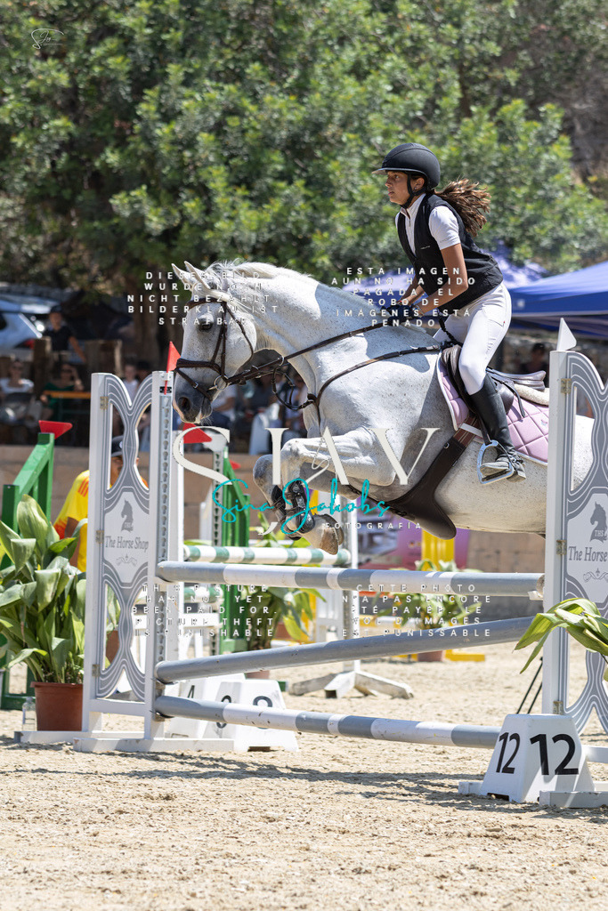 IMG_6259 | s-jay-photography - Realisiert mit Pictrs.com