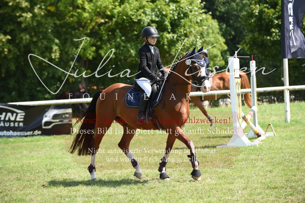 DSC_9987 | Pferde- und Turnierfotografie in Westsachsen. Pferdeportraits, Auftragszeichnungen und intuitive Kunst.