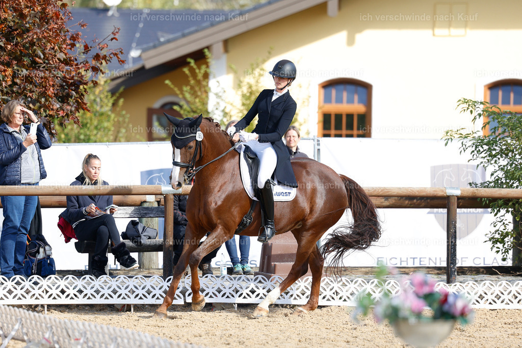 09_2-163-DRESSUR  S_  -StoibPH-5735 | working equitationturnier fotograf videograf stoibphotography marixx film working equitation deutschland reitsport turnierfotografie eventfotografie equestrian events