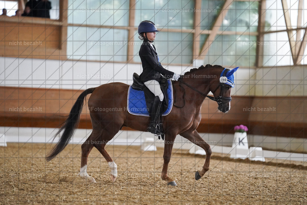 20240825-FAH09559 | Turnierbilder, Reitsportfotos, LAPO, Landesponyturnier, Turnierfotografen Bayern