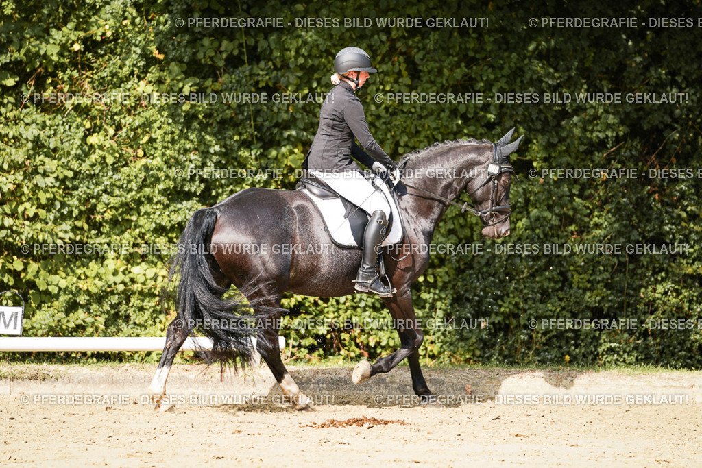 DSC02439 | Pferdegrafie