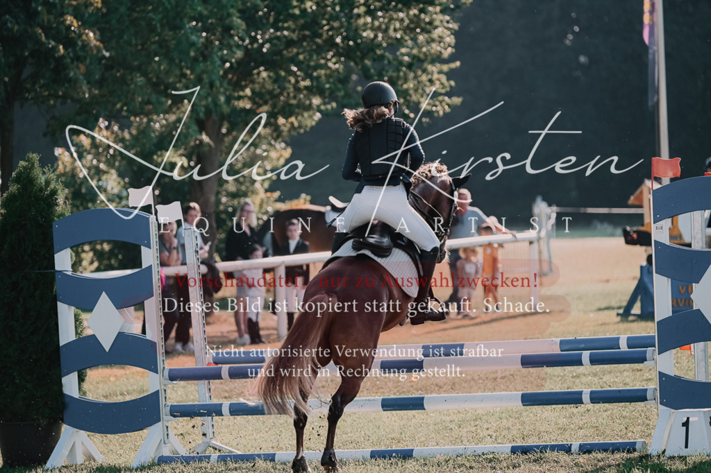 DSC_4451 | Pferde- und Turnierfotografie in Westsachsen. Pferdeportraits, Auftragszeichnungen und intuitive Kunst.