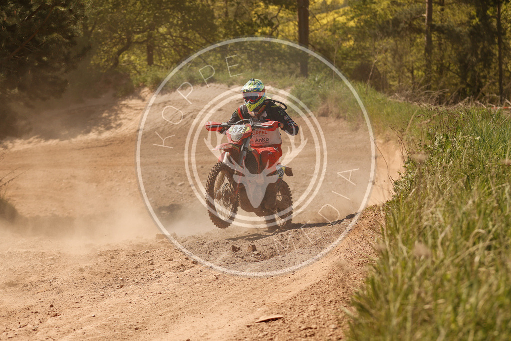 RottlebenIGE25_Lauf5-565 | koppe-media