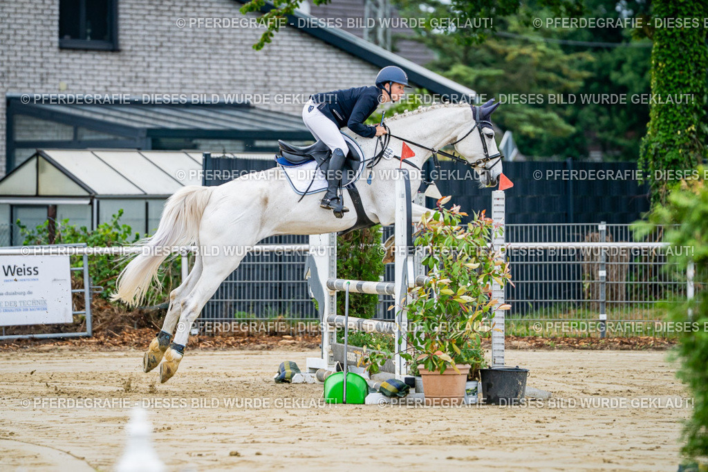 DSC01831 | Pferdegrafie