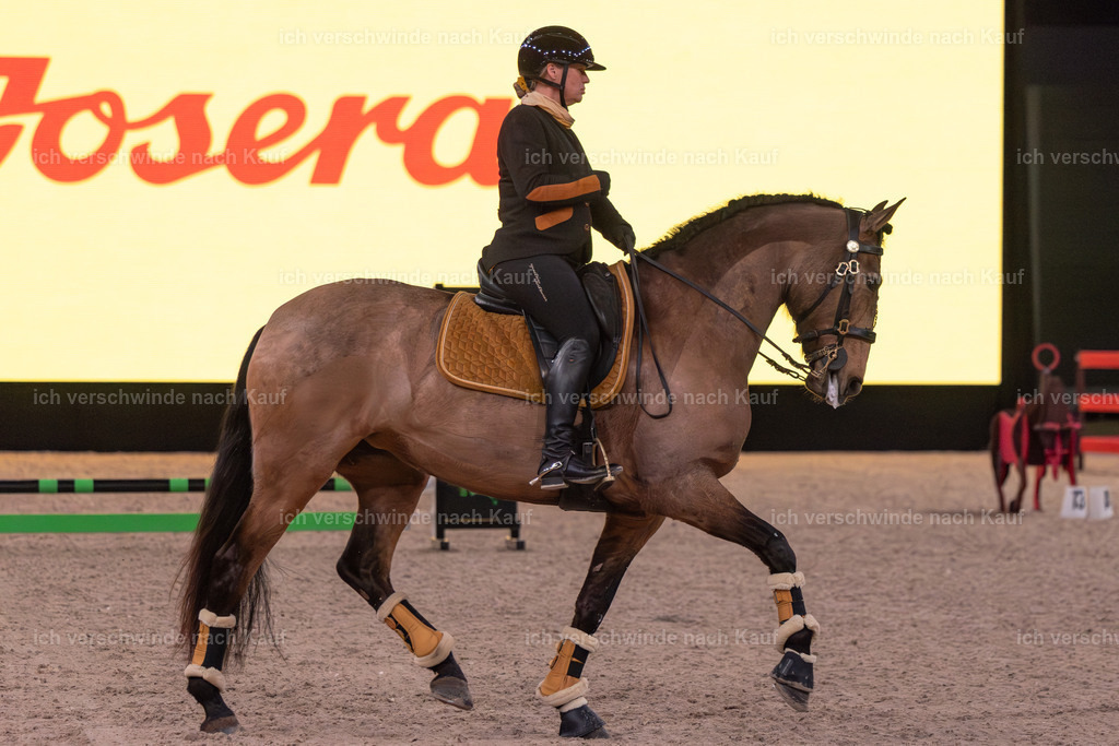 JoseraCup-35 | working equitationturnier fotograf videograf stoibphotography marixx film working equitation deutschland reitsport turnierfotografie eventfotografie equestrian events