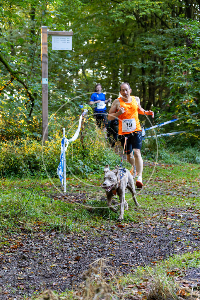 Pfotenfotografie_DV3A6431 | Hundefotografie, Tierfotograf, Pfotenfotografie, Fotoshooting Hund, Hunde Portrait, Hundesport, Hundeportraits, Heideshooting, Hunde, Sportfotograf, Hundefotograf, Turnierhundsport, THS,  - Realisiert mit Pictrs.com