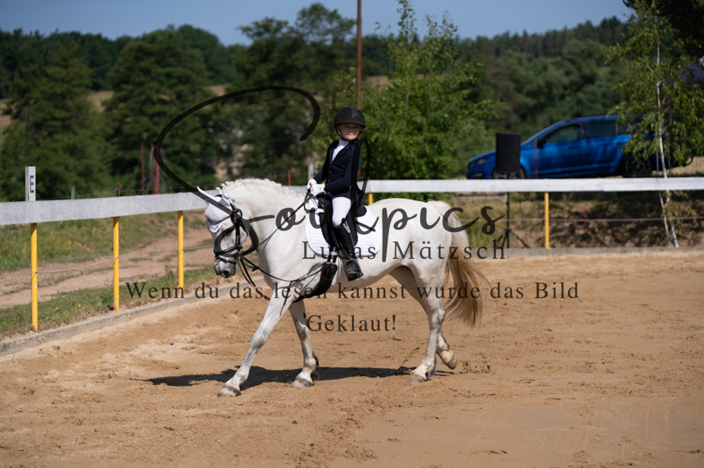 A7V07743 | Pferdefotograf