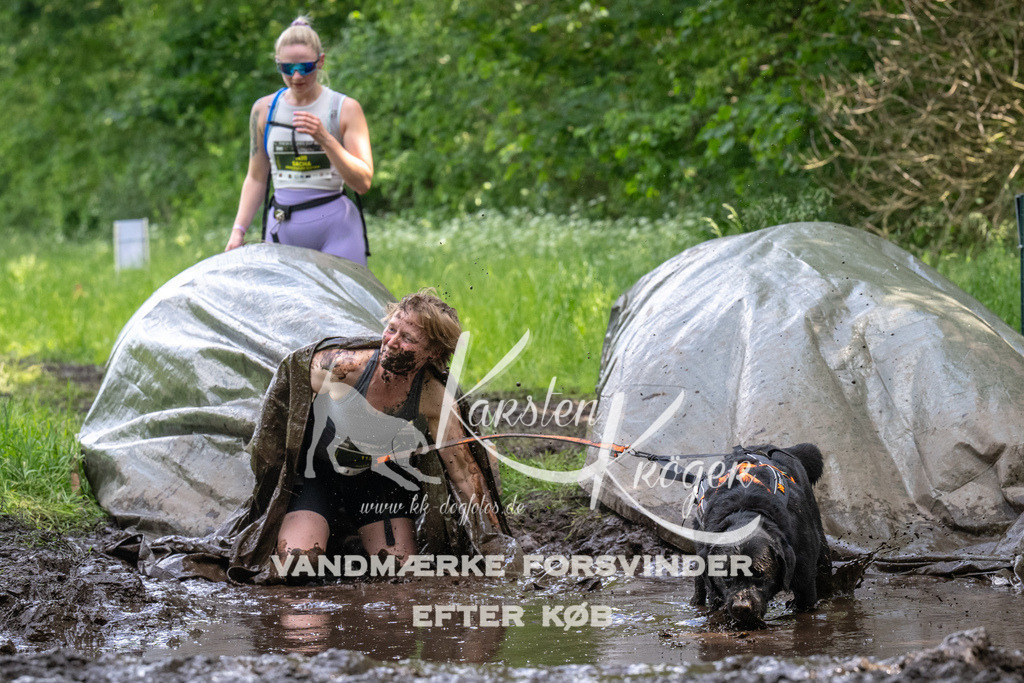1350_ZZ92594 | kk-dogfotos