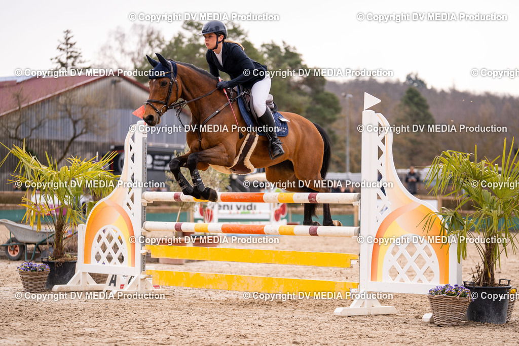 Kranichstein Tag 2-428 | dv-media-shop - Realisiert mit Pictrs.com