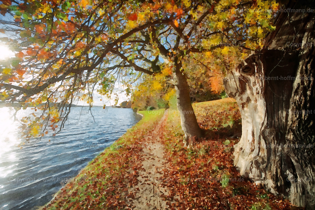 PDM2_DK_Uferweg_03_150x100 | DIGITALKUNST. Uferweg -03. __ Herbststimmung am Ostsee- Fjord in Augustenburg in Dänemark. Knorriger alter Baum mit bunt verfärbtem Herbstlaub. Wasserfläche mit der Sonne im Gegenlicht. __ Seitenverhältnis = 3 zu 2. __ Druckbar ist dieses Bild aber auch in vielen kleineren Formaten sowie in frei wählbaren Bildausschnitten. - Realisiert mit Pictrs.com