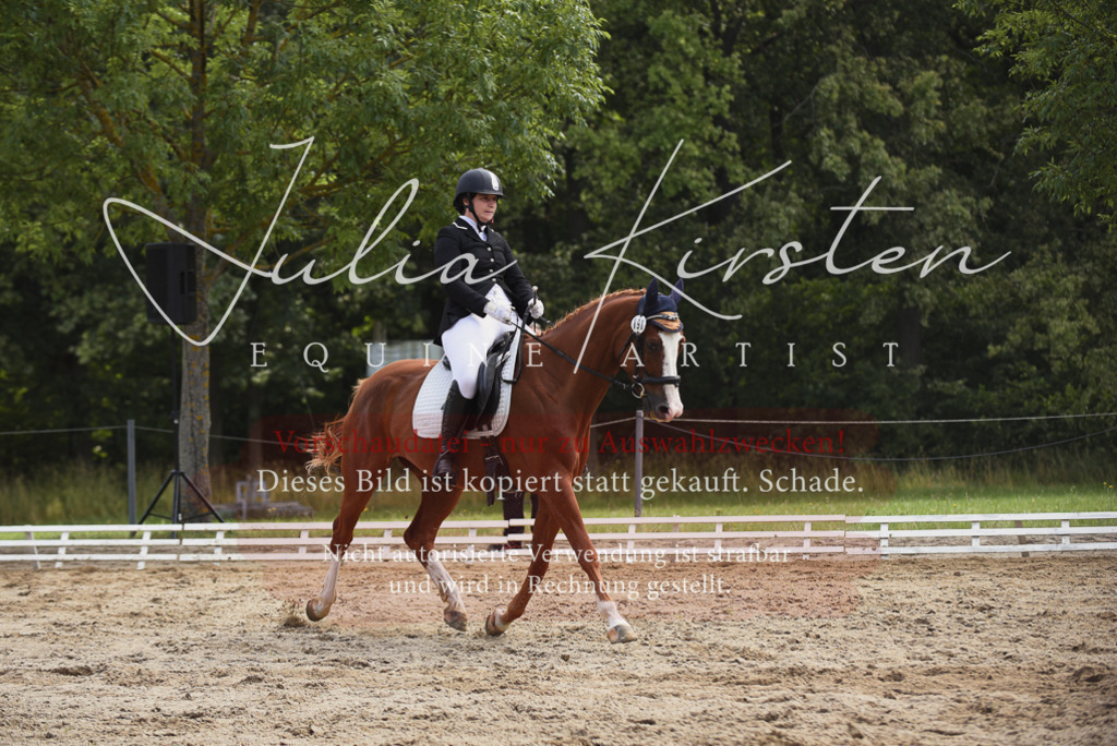 DSC_0862 | Pferde- und Turnierfotografie in Westsachsen. Pferdeportraits, Auftragszeichnungen und intuitive Kunst.