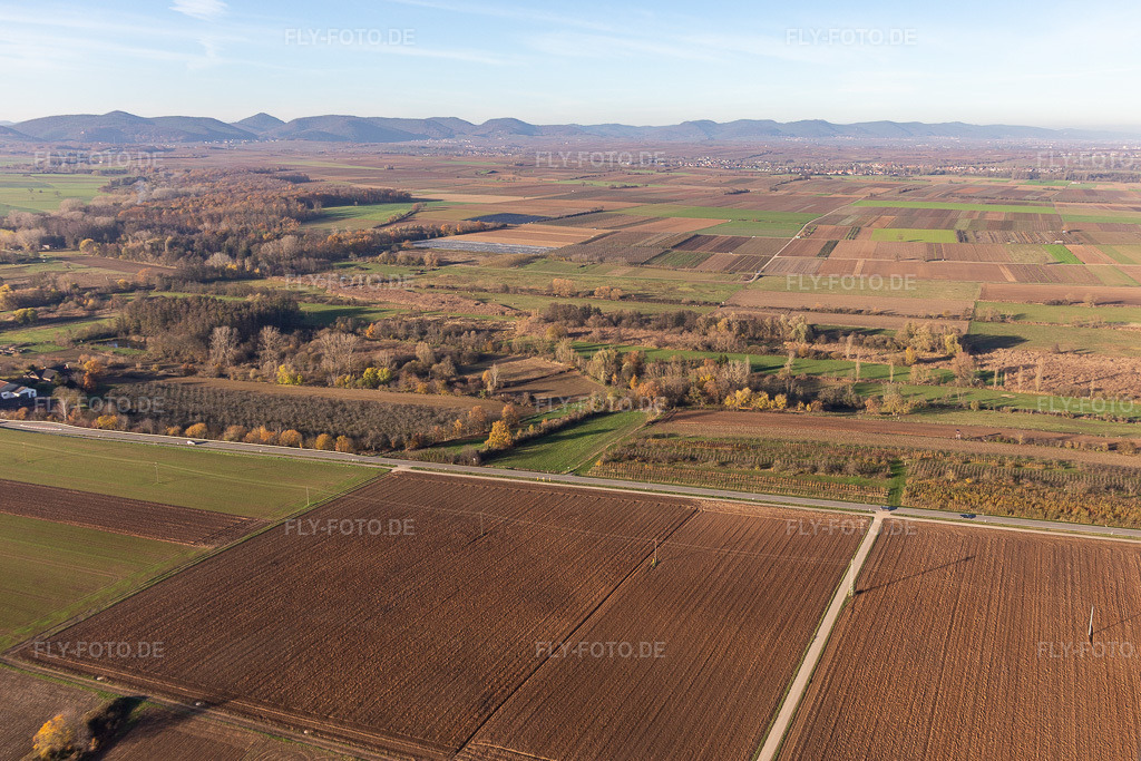 Luftbild: Billigheimer Bruch, Erlenbachtal zwischen Barbelroth, Hergersweiler und Winden im Ortsteil Mühlhofen in Billigheim-Ingenheim im Bundesland Rheinland-Pfalz in Deutschland. Foto: IMG_123915.jpg vom 21.11.2020 durch Werner Riehm/FLY-FOTO.de