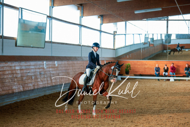 _62_6298 | Turniersportfotografie; Pferdefotografie; Dressurfotografie