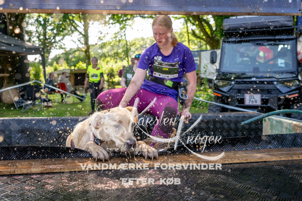 1538_ZZ92175 | kk-dogfotos