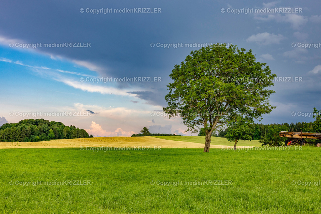 _J3A1242 | medienkrizzler - Realisiert mit Pictrs.com