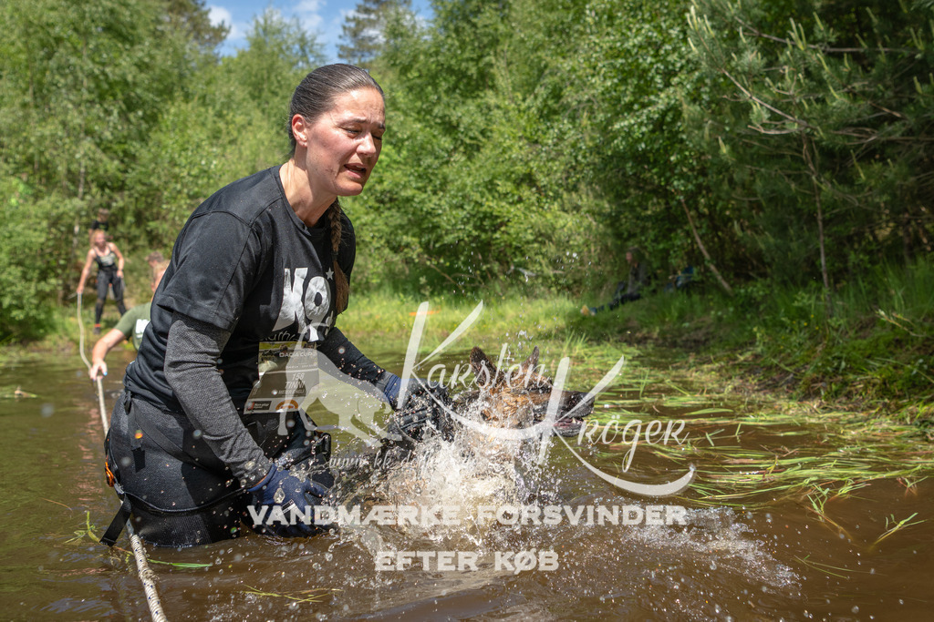 1209DKK991988 | kk-dogfotos