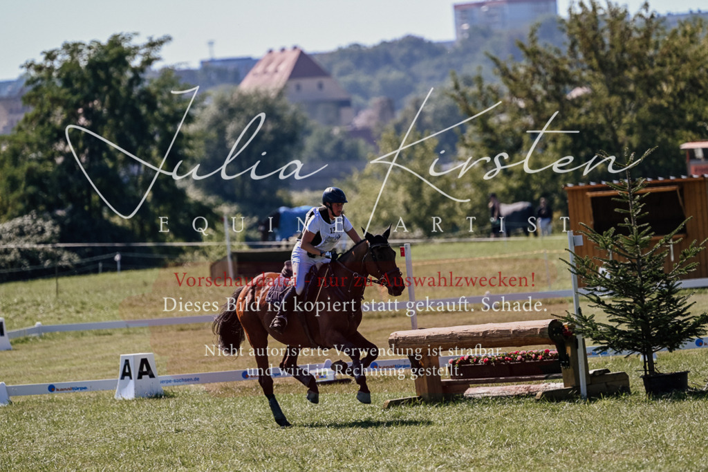 DSC_1989 | Pferde- und Turnierfotografie in Westsachsen. Pferdeportraits, Auftragszeichnungen und intuitive Kunst.