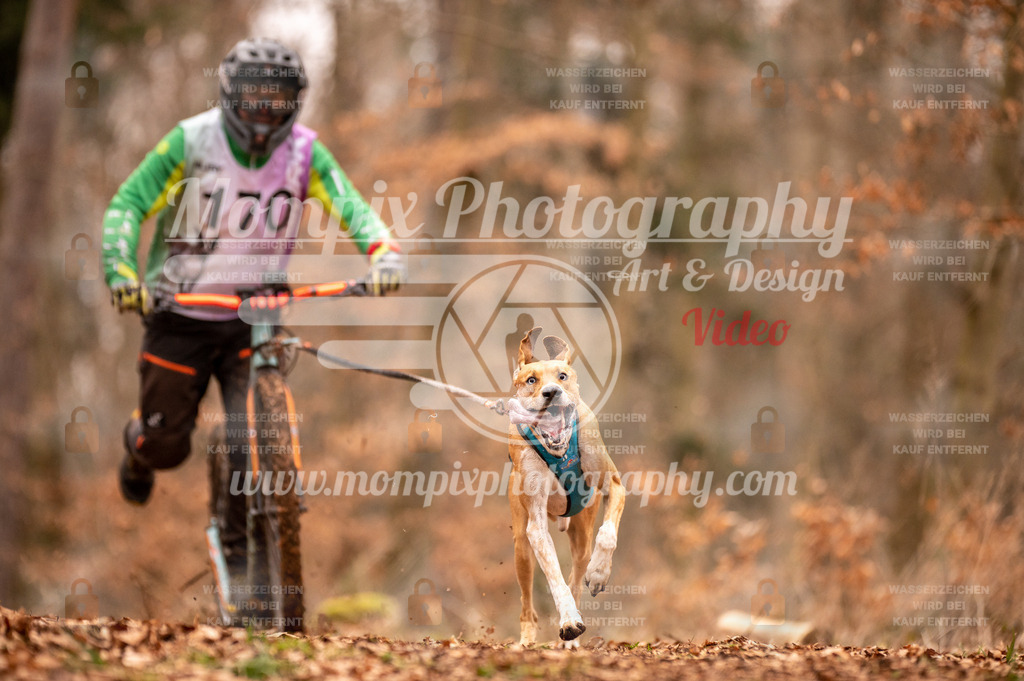 AKM_ST_2023_SAM_Scooter-38 | PayLife