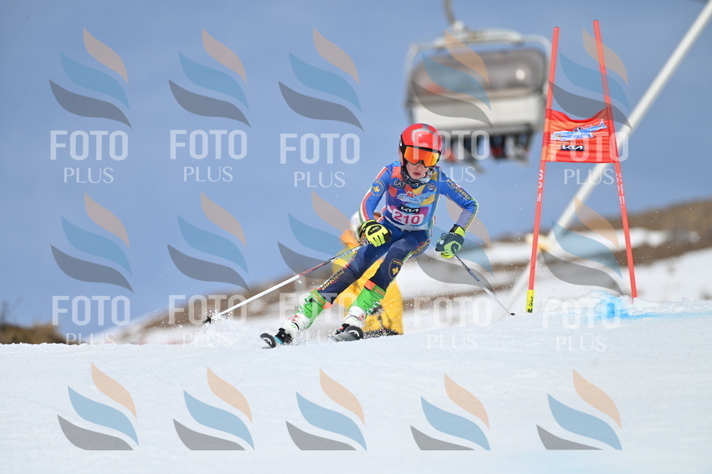 BGV_1131 | holidayphoto