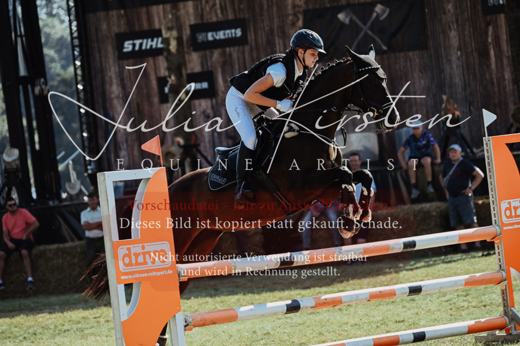 DSC_5492 | Pferde- und Turnierfotografie in Westsachsen. Pferdeportraits, Auftragszeichnungen und intuitive Kunst.