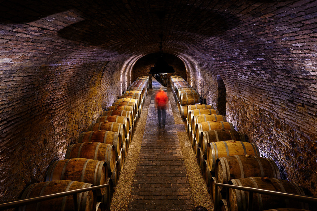 Weingut Wieninger Weinkeller | Wien, Austria - April 27, 2017: Weingut Wieninger; Fässer im Alten Weinkeller. - Realisiert mit Pictrs.com