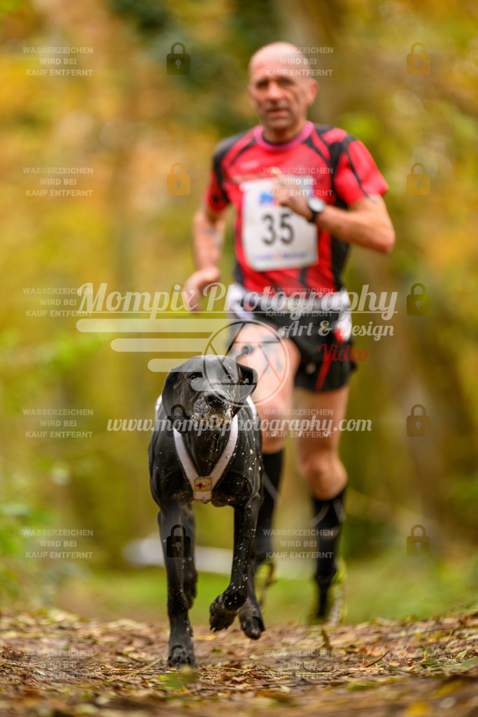 MompixPhotography_Bischwiller24_SA_Canicross-5 | PayLife
