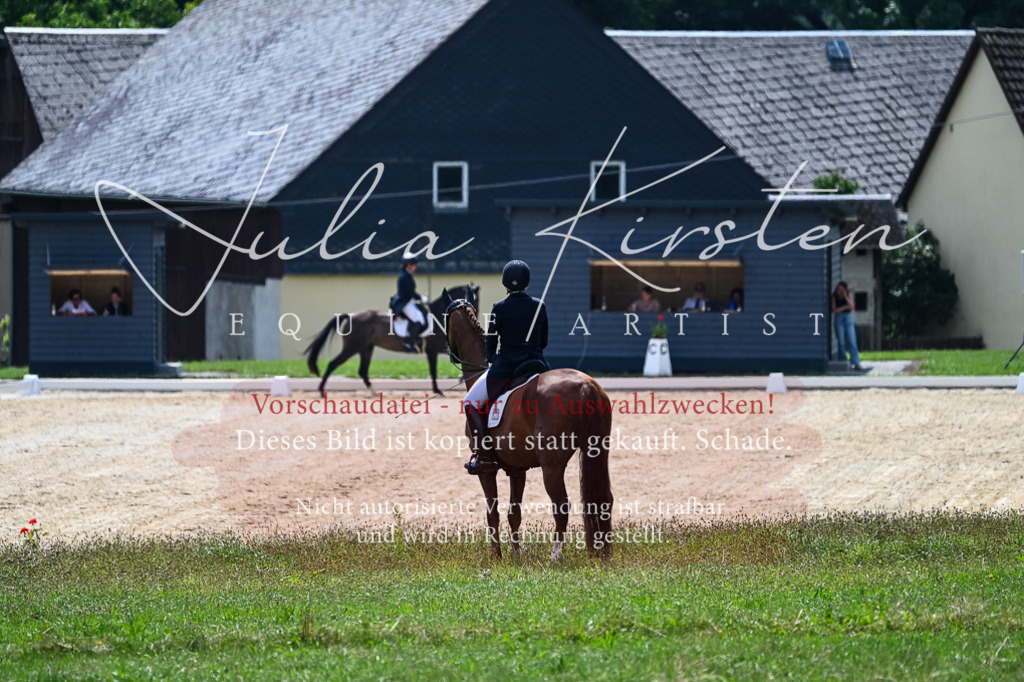 DSC_2743 | Pferde- und Turnierfotografie in Westsachsen. Pferdeportraits, Auftragszeichnungen und intuitive Kunst.