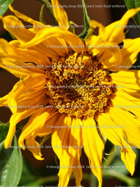 titusgraphy_P6130667-vz-ln | OLYMPUS DIGITAL CAMERA - Realisiert mit Pictrs.com