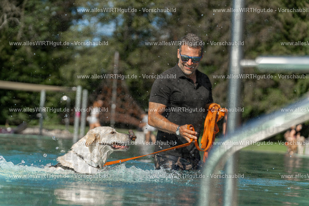 Hundeschwimmen_Volksbad_2026-allesWIRTHgut_Tierfotografie-2609061545-7R501802 | Professionelle Tierfotografie in Mönchengladbach von Daniel Wirth (allesWIRTHgut). Liebevolle & natürliche Bilder von Hunden & Katzen für unvergessliche Erinnerungen.