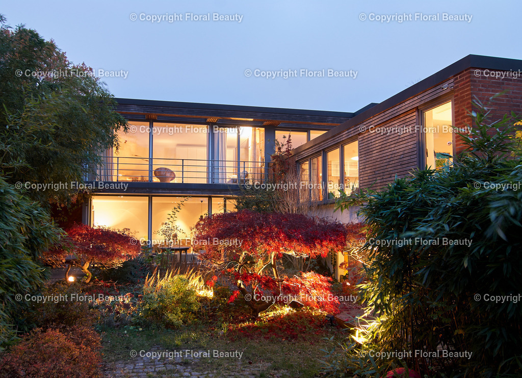 60er Jahre Bungalow | 60er Jahre Bungalow mit beleuchtetem Garten, japanischer Ahorn - Realisiert mit Pictrs.com