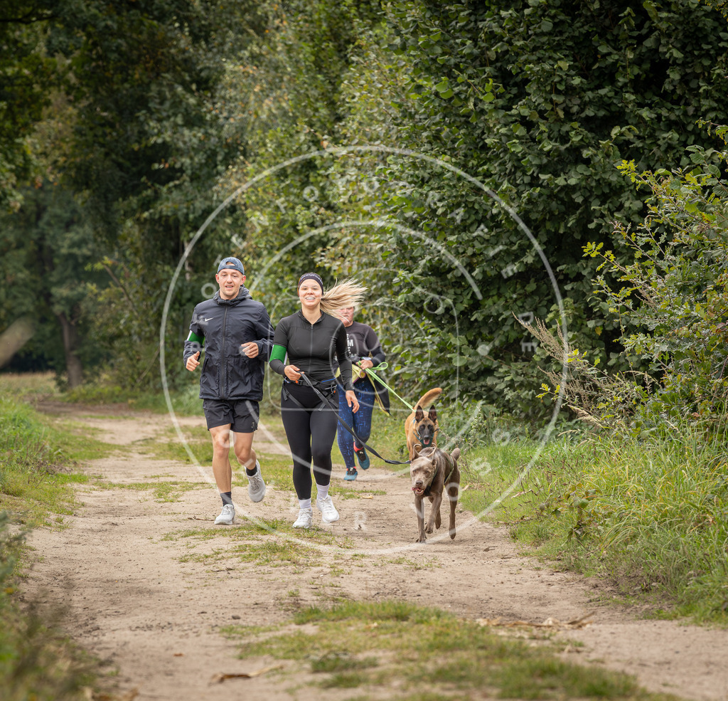 Pfotenfotografie_DV3A8396 | Hundefotografie, Tierfotograf, Pfotenfotografie, Fotoshooting Hund, Hunde Portrait, Hundesport, Hundeportraits, Heideshooting, Hunde, Sportfotograf, Hundefotograf, Turnierhundsport, THS,  - Realisiert mit Pictrs.com