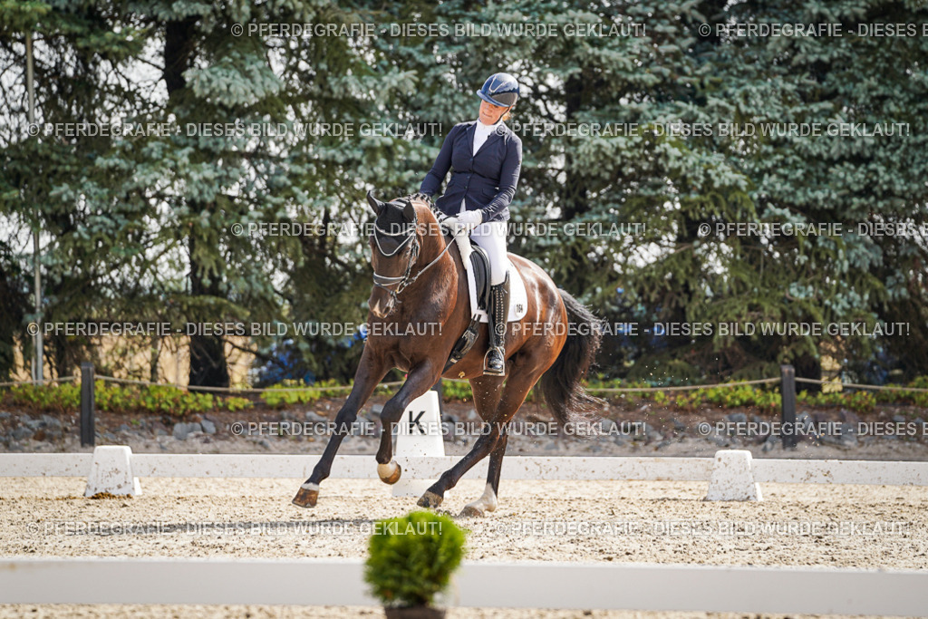 DSC06981 | Pferdegrafie