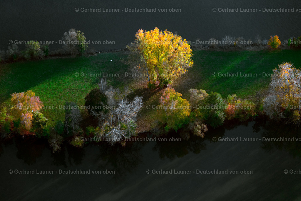 3905358 | herbstliche Bäume bei Volkach