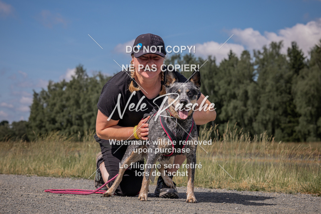 nelerasche_BuHu2026_SaCC10-11_147 | nelerasche