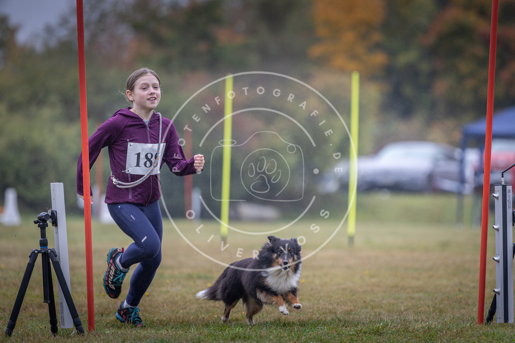 Pfotenfotografie_DV3A0201 | Hundefotografie, Tierfotograf, Pfotenfotografie, Fotoshooting Hund, Hunde Portrait, Hundesport, Hundeportraits, Heideshooting, Hunde, Sportfotograf, Hundefotograf, Turnierhundsport, THS,  - Realisiert mit Pictrs.com