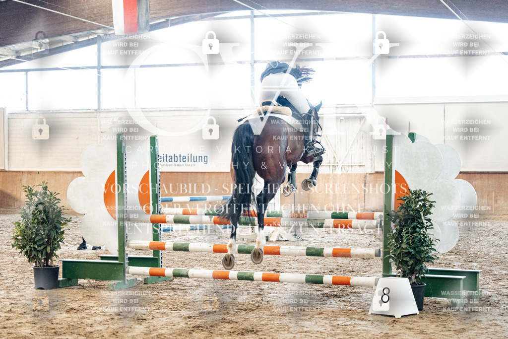 CK904322 | Turnierfotografie Pferdefotografie Trier Rheinland-Pfalz Pferdesport Reitsport Tierfotografie Sportfotografie Pferdevideo Pferdevideografie Equestrianvideography equestrianphotography  - Realisiert mit Pictrs.com