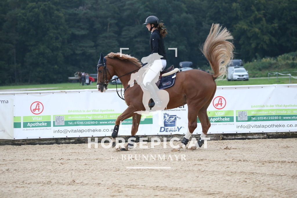 DL2Q6430 | Willkommen bei Brunnmayr - Design & Fotografie – Ihrem Spezialisten für Reitturniere und Pferdeveranstaltungen in Oberösterreich, Salzburg und Bayern! Seit über 17 Jahren sind wir leidenschaftlich dabei.
