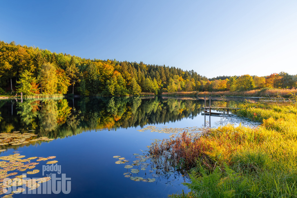 Herbststimmung am Karsee bei Wangen | Herbstliche Stimmung am Karsee bei Wangen mit den warmen Farben und sanften Spiegelungen auf der Wasseroberfläche. Ein idyllischer Blick auf die herbstliche Landschaft und den Steg am See. - Realisiert mit Pictrs.com