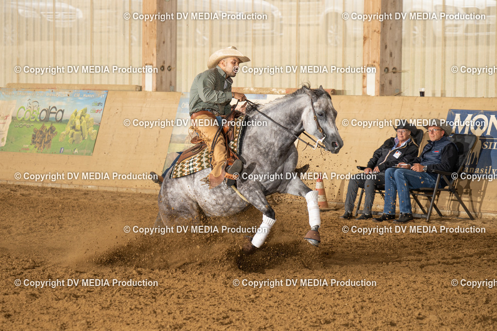 LAU00872 | dv-media-shop - Realisiert mit Pictrs.com