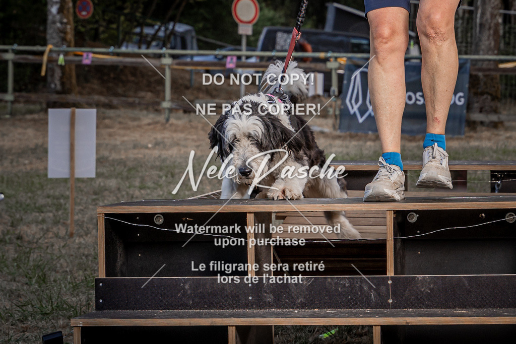 nelerasche_SummerNights26_SaBrücke2000-2030_28 | nelerasche
