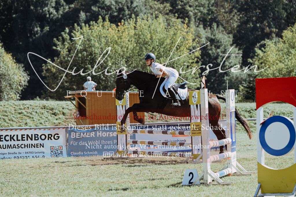 DSC_6584 | Pferde- und Turnierfotografie in Westsachsen. Pferdeportraits, Auftragszeichnungen und intuitive Kunst.